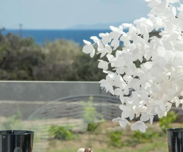 Divine Naxos Villa *